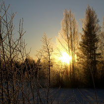 Auch der frühe Wintermorgen birgt viel Ruhe und die Chance auf einen schönen Sonnenaufgang in den Wäldern der Insel Päijätsalo.