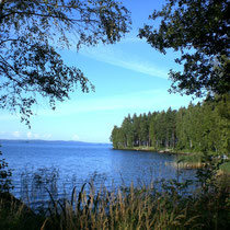 Gehen Sie am Ufer spazieren und genießen Sie den Blick in die Bucht vor dem Haus Richtung Hauptsee.