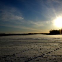 Ein neuer Tag. Strahlende Sonne. Stahlblauer Himmel. Kalte Temperaturen. Jetzt die im Mökki vorhandenen Langlaufski nehmen und raus auf den gefrorenen Päijänne See. direkt vor Ihrem zu Hause.