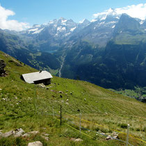 Steintal vor Blümlisalphorn