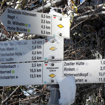 Hüttenwasen - 1230 M