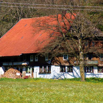 Motiv 4 - Schlegelhof, Altenweg Titisee