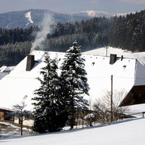 Motiv 9 - Franzseppenhof, Oberaltenweg Titisee