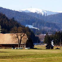 Motiv 7 - Schlegelhof, Felberg 1494 M