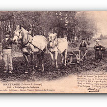 BRETAGNE - Attelage de labour - Pflugschar-Anhänger -  Ploughshare -21.11.1905 -