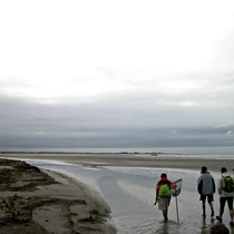 Votre guide en Baie de Somme