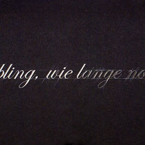 arnold reinthaler, "liebling wie lange noch", 2009, 50 x 90 x 3 cm, no. 2/3, engraving/black granite – erlas galerie