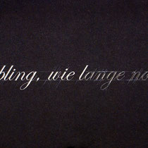 arnold reinthaler, "liebling wie lange noch", 2009, 50 x 90 x 3 cm, no. 2/3, engraving/black granite – erlas galerie