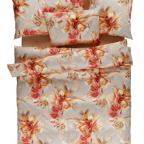 Vivienne Selection