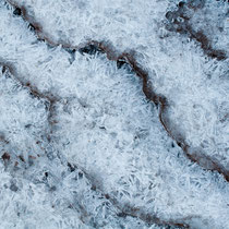 Terrassenbildungen an einem Quellaustritt nach einer längeren Frostperiode, Schwarze Berge, Februar 2012