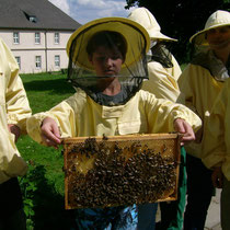 Wieviel Bienen mögen das sein....?