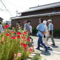 スィートピーの花がお出迎え