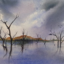 Drying Off.  Watercolour on paper.  26x36cm  $1100. Requires framing.  Available from Artopia Gallery Kununurra.
