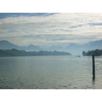 Vierwaldstättersee © laufende Nase