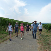 ... ging's für die anderen zur Weinwanderung in den Ebringer Sommerberg. 