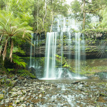 Falls