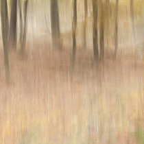 Autumno