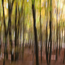 En Passant - 4