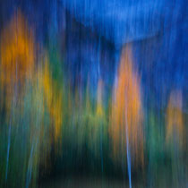 En Passant - 1