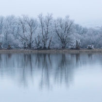 Rhein