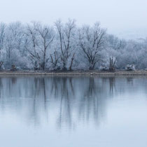 Rhein