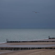 Northern Beach - 2