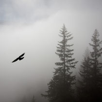 Clouds - 1
