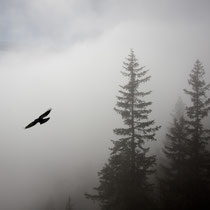 Clouds - 1
