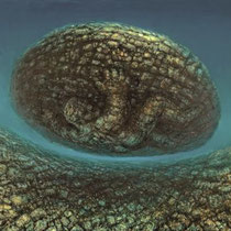 DE ES SCHWERTBERGER, Flug durch Raum und Zeit, Öl / Leinwand, 90x100cm, 1990