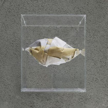 TANJA PRUŠNIK,  C-unst Masken, Rosenserviette Edition 14, Origamitechnik, Objektkasten