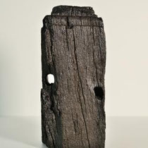 NORBERT PÜMPEL, Objekt W 18, Evidente Kammern (Verletzung II.), 37,5x21x18cm, Eichenholz, Paraloid, Teer, 2019