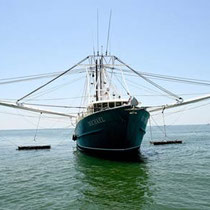 33.6 million gallons of oil recovered by BP ships (July 8, 2010) A shrimp boat called "The Micheal," commissioned for the cleanup effort, displays the Heavy Oil Recovery Device during a media demonstration in Bayou La Batre, Ala.