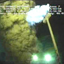 1.84 million gallons of chemical dispersants used (Reuters / September 8, 2010) Oil and gas leaking from the BP's ruptured well is sprayed with dispersant in this image captured from a BP live video in the Gulf of Mexico.
