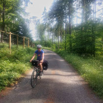 Schattiger Radweg in Tschechien