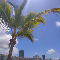 Las Canteras, Strand in Las Palmas