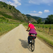 Radeln in der Wachau