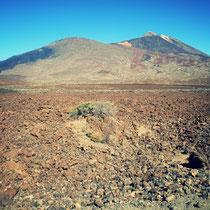 El Teide