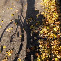 Herbstliches radeln in Wien