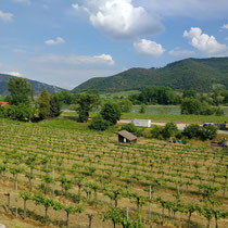 Wachau