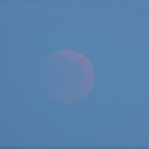 Luna Totalmente eclipsada saliendo por el horizonte de dia