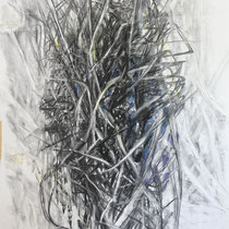 Wildwuchs 11, Zeichnung Kohle/Pastellkreiden auf Papier, 180x100 cm, 2025