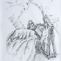 Wildwuchs 10, Zeichnung Kohle/Pastellkreide auf Papier, 180x100 cm, 2025