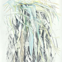 Wildwuchs 9, Zeichnung Kohle/Pastellkreiden auf Papier, 180x100 cm, 2024