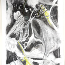 Wildwuchs 12, Zeichnung Kohle/Pastellkreide, 29x21 cm, 2024