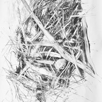 Wildwuchs 8, Zeichnung Kohle auf Papier, 180x100 cm, 2024