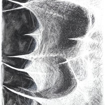 Eselsdistel 2, 59x42 cm, Zeichnung Kohle auf Papier, 2022