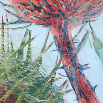 Eselsdistel 4, 60x60 cm, Eitempera auf LW, 2022