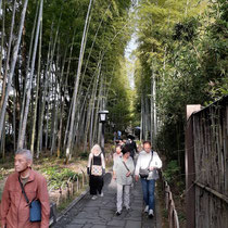 修善寺の竹林、一枚岩の川と相まって最高になごみます