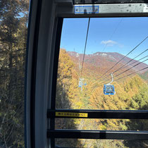 苗場のゴンドラからの紅葉です。長いし（２５分位）熊に会わないし最高です。