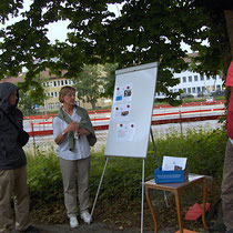 Am Geissweg, Tübingen (Bild: NABU Tübingen)